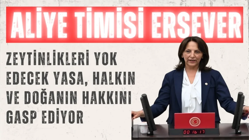 CHP’li Aliye Timisi Ersever: "Zeytinlikleri yok edecek yasa, halkın ve doğanın hakkını gasp ediyor"