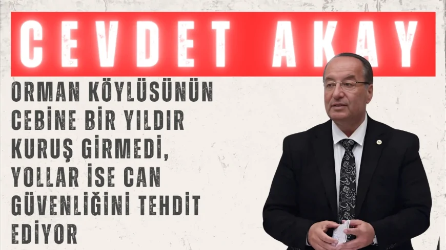 CHP’li Akay: “Orman köylüsünün cebine bir yıldır kuruş girmedi, yollar ise can güvenliğini tehdit ediyor”