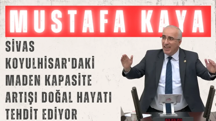 Saadet Partili Kaya: "Sivas Koyulhisar'daki maden kapasite artışı doğal hayatı tehdit ediyor"