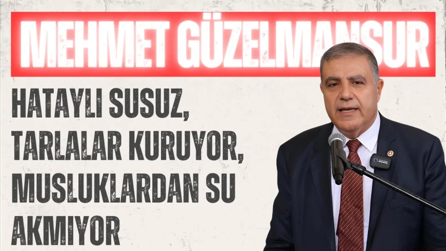CHP Hatay Milletvekili Güzelmansur: "Hataylı susuz, tarlalar kuruyor, musluklardan su akmıyor"