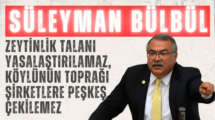 CHP'li Süleyman Bülbül: "Zeytinlik talanı yasalaştırılamaz, köylünün toprağı şirketlere peşkeş çekilemez"