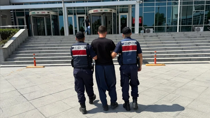 23 kişi gözaltına alındı, 4 kişi tutuklandı: Orman yangınlarında ihmaller zinciri