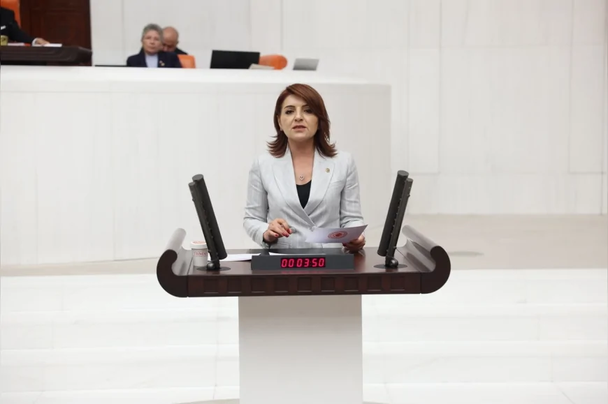 CHP’li Gülcan Kış: “Asgari ücret kira etmiyor, emekli barınamıyor; bu düzen değişmeli”