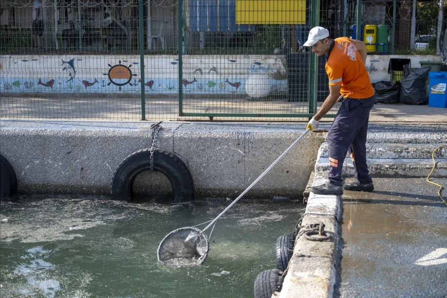 Mersin Büyükşehir Belediyesi deniz temizliği için tam zamanlı çalışıyor: Yılda 120 ton atık toplanıyor