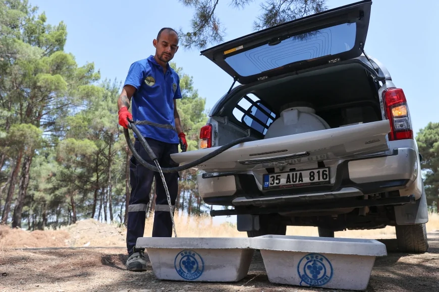 Buca Belediyesi ormanlık alanlara beton suluk yerleştirdi, sıcaklarda can dostlar unutulmadı