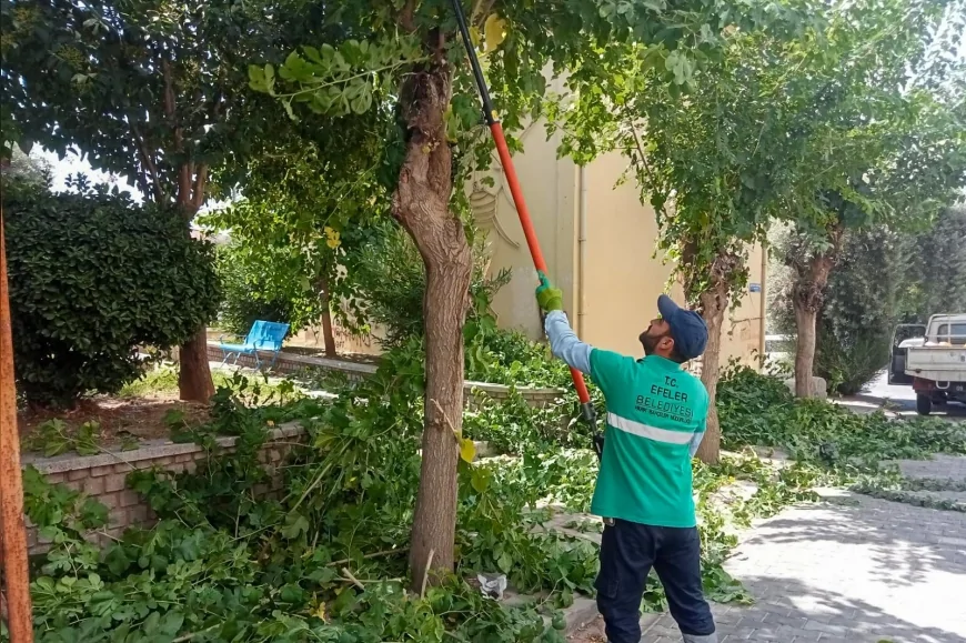 Efeler’de Yaz Temizliği Devam Ediyor: Parklar ve Yeşil Alanlar Yeniden Düzenleniyor