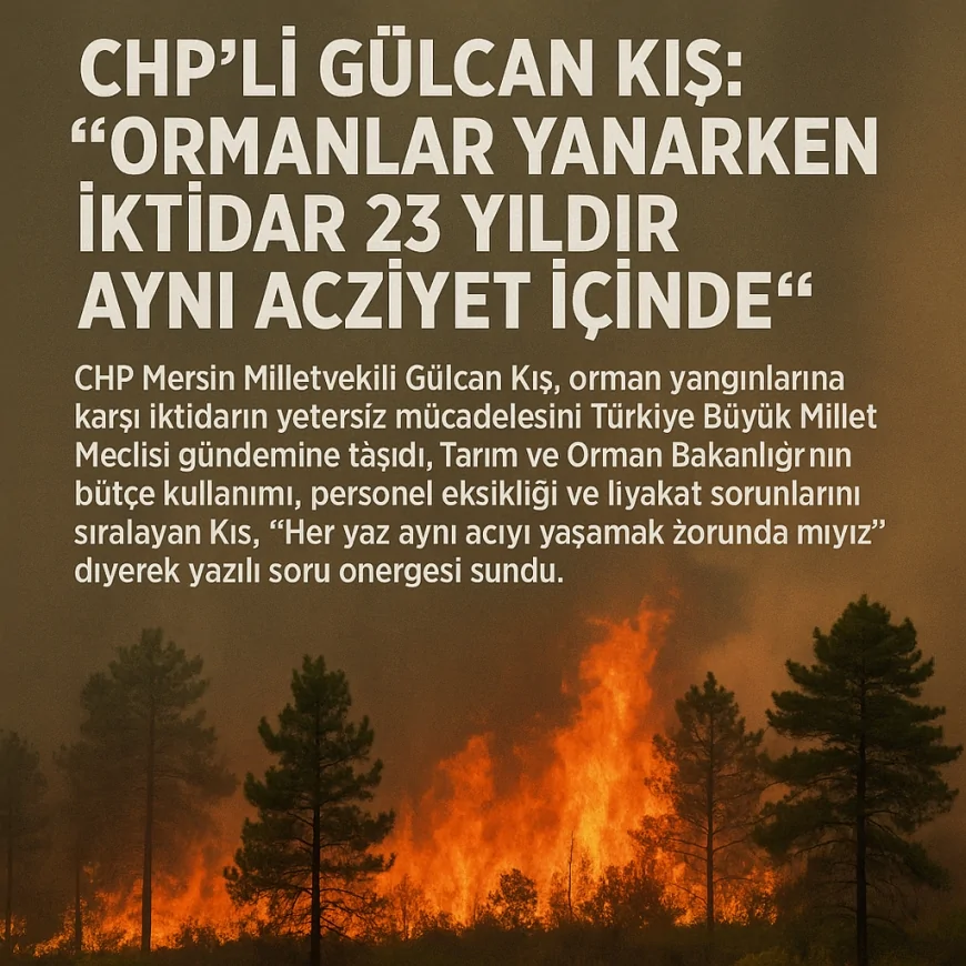 CHP’li Gülcan Kış: “Ormanlar yanarken iktidar 23 yıldır aynı acziyet içinde”
