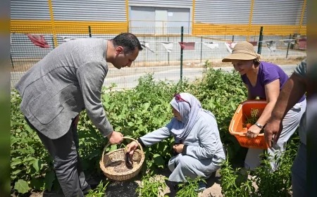 Bornova’da atıl alanlar bostana dönüşüyor: Kent Bostanları 5 mahalleye yayılıyor
