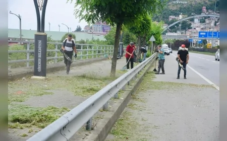 Giresun Belediyesi park ve sahillerde ot temizliğine hız verdi: Yeşil alanlar yaz boyunca düzenli bakımdan geçiyor