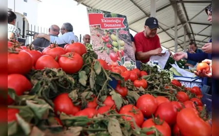 Sivas’ta Doğal Ürünler ve Köy Pazarı Açıldı, Her Cumartesi Kurulacak