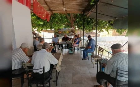 Milas'ta Zeytin Üreticilerine Yönelik Dört Noktada Eğitim Verildi: "Tarlanıza Geliyoruz" Projesi Sürüyor