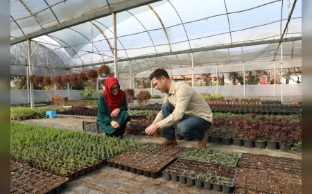 Muğla’da Alım Garantili Çiçek Üretimiyle 23 Milyon TL Tasarruf, Kadın Emeğiyle Büyüyen Üretim