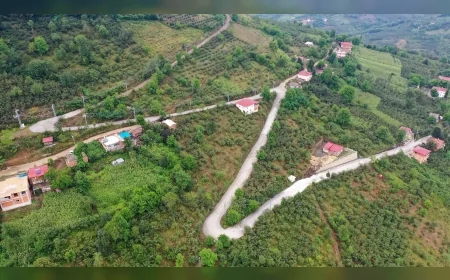 Ordu Ünye Ortaköy’de 1 kilometrelik beton yol tamamlandı, kırsal ulaşım kolaylaştı