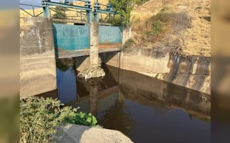 Manisa Turgutlu’da biyogaz tesisinden DSİ kanalına sıvı gübre sızıntısı tespit edildi