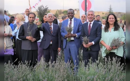 Keçiören’de Lavanta Festivali renkli görüntüler ve yoğun katılımla tamamlandı