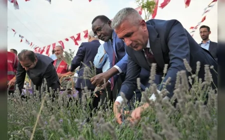 Keçiören’de lavanta festivali binlerce ziyaretçiyi doğal ve kültürel etkinliklerde buluşturdu