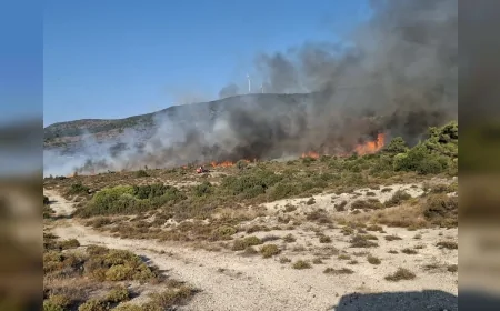 Urla Barbaros Mahallesi’ndeki orman yangını kontrol altına alındı