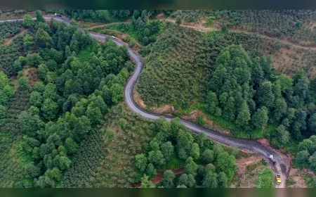 Ordu-Samsun sınırındaki 11,6 kilometrelik yolun asfaltı tamamlandı, Akkuş ile Salıpazarı bağlantısı yenilendi