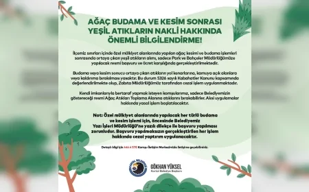 Kartal Belediyesi’nden Ağaç Budama ve Yeşil Atık Bertarafı İçin Yeni Düzenleme ve Uyarılar