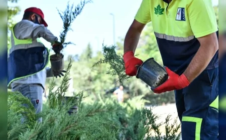 Ankara Büyükşehir Belediyesi’nden Aşırı Sıcaklar İçin Çalışanlara Esnek Mesai ve Özel Tedbirler