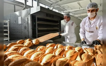 Ankara Halk Ekmek’ten “Ekmeğim Nerede” uygulamasıyla ekmek sevkiyatında anlık takip dönemi başladı