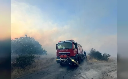 Dikili Çandarlı’daki site yangınında 7 ev tamamen, 4 ev kısmen yandı