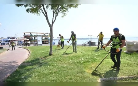 Aydın Büyükşehir Belediyesi Didim’de eş zamanlı temizlik, bakım ve peyzaj çalışmaları yürüttü