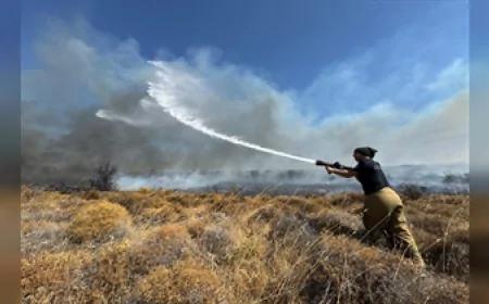 İzmir İtfaiyesi Son 24 Saatte 100’e Yakın Yangına Müdahale Etti