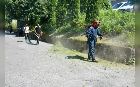 Giresun’da Park ve Yeşil Alanlarda Yabani Ot Temizliği Yoğun Tempoyla Sürüyor