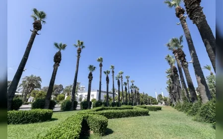 İzmir’de Palmiyeler Yapay Zeka Destekli Sismik Sensörlerle Kırmızı Palmiye Böceğine Karşı Korunuyor