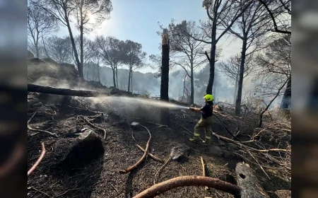 İzmir Bergama’da Orman Yangını Evleri Etkiledi, İtfaiye ve Orman Ekipleri Alevlere Müdahale Ediyor