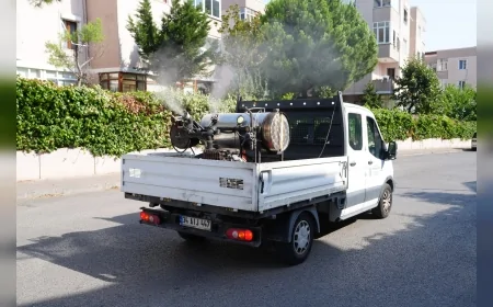 Kartal’da 20 mahallede sivrisinek ve haşere ile mücadele çalışmaları yaz boyunca kesintisiz sürüyor