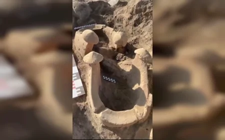 Elazığ’daki Tadım Kalesi kazılarında binlerce yıllık kurban ritüeli izleri ortaya çıkarıldı