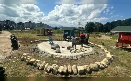 Ordu Büyükşehir Belediyesi 729 personel ve 411 iş makinasıyla 223 noktada eş zamanlı çalışma yürütüyor