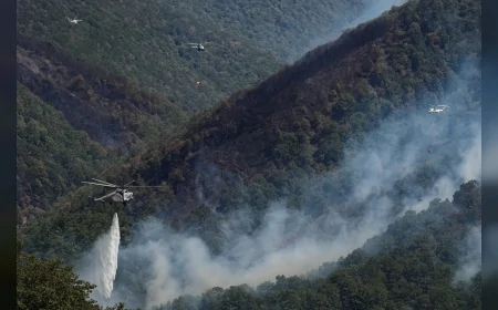 Tarım ve Orman Bakanı İbrahim Yumaklı: "Çanakkale Gelibolu’daki orman yangınına havadan ve karadan yoğun müdahale sürüyor"