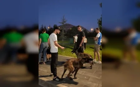 Kayseri’de Proteo Köpek Eğitim Parkuru köpek sahiplerinden yoğun ilgi gördü