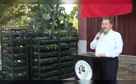 Milas Belediyesi’nden üreticiye yüzde 50 hibeli fide desteği