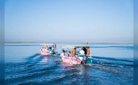 İzmir’de Flamingo Yolu turları yeniden başladı, Gediz Deltası’nda yüzlerce kuş türü gözlemleniyor