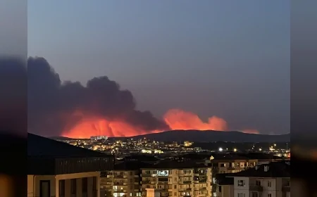 Eskişehir Büyükşehir ekipleri Kocaeli’den sonra Çanakkale’deki orman yangınına da destek verdi