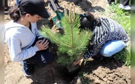 Milli Eğitim Bakanı Yusuf Tekin: “2025-2026 eğitim öğretim yılı 8 Eylül’de başlayacak”
