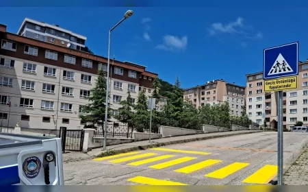 Giresun Belediyesi okul önlerinde yaya geçitlerini yenileyerek güvenliği artırıyor