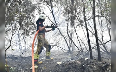 İzmir’in Menderes ilçesinde çıkan orman yangınına havadan ve karadan yoğun müdahale