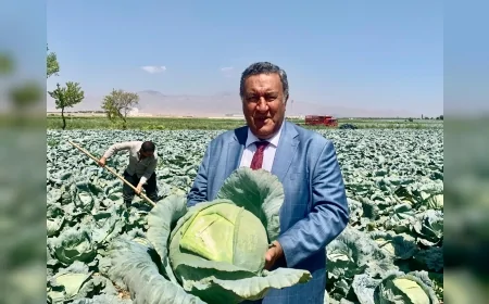 CHP Niğde Milletvekili Ömer Fethi Gürer: "Üretici karını sınırlı tutuyor, sorun raftaki fiyat farkı"