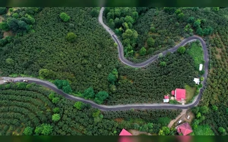 Ordu Büyükşehir Belediye Başkanı Mehmet Hilmi Güler: "Zorlu coğrafyada 2 bin 400 kilometre yolu yeniledik"