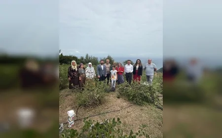 SATKOF Başkanı Prof. Dr. Aysun Bay: "Aronya üreticisinin emeğinin karşılık bulması sürdürülebilirlik için kritik"