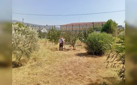 Çine Belediye Başkanı Mehmet Kıvrak: "Eğitime yapılan her yatırım yarınlarımıza yapılan en değerli yatırımdır"