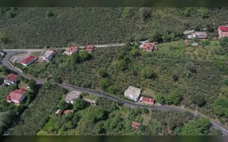 Ordu Çaybaşı’nda Tekke-Kargalı grup yolu 1,8 kilometrelik asfalt çalışmasıyla tamamlandı