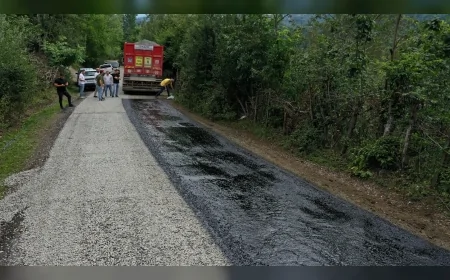 Ordu’nun Korgan ilçesinde Tepealan-Çitlice-Belalan bağlantı yolunda asfalt çalışması başladı
