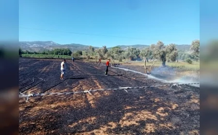 Muğla Büyükşehir Belediyesi anız yangınlarına karşı uyardı: "Modern tarım tekniğinde anız yakmak son derece yanlış"