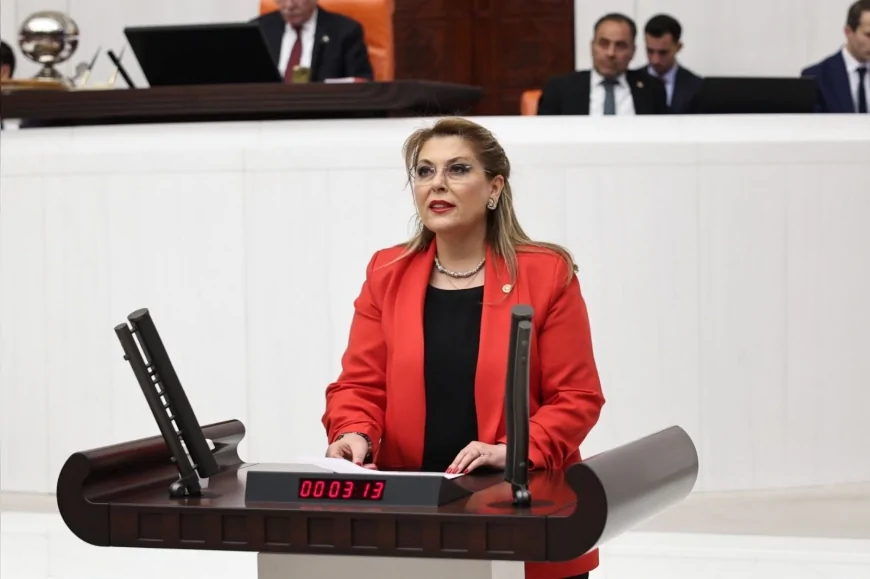 CHP’li Elvan Işık Gezmiş: "Kadın cinayetlerinde cezasızlık failleri cesaretlendiriyor"